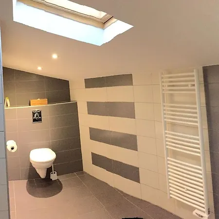 Hotell Du Pont Vieux Carcassonne