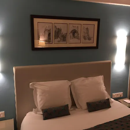 Hotel Du Pont Vieux 3*